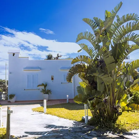 Botanica Di 75mq A Lacco Ameno Villa *